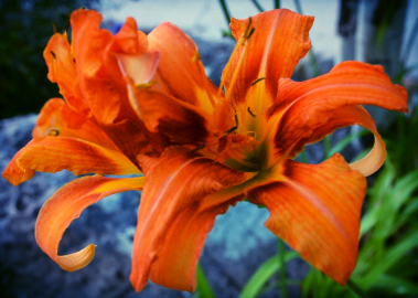 1d06ecb8-5b3e-404e-9c4b-e93161252229