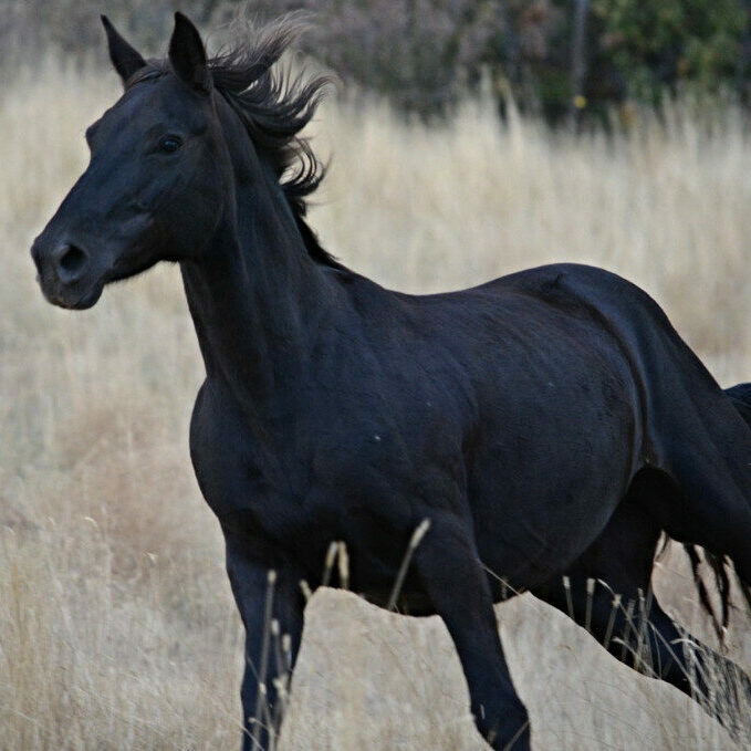 61382129-e016-47e1-9982-6b87df00e029